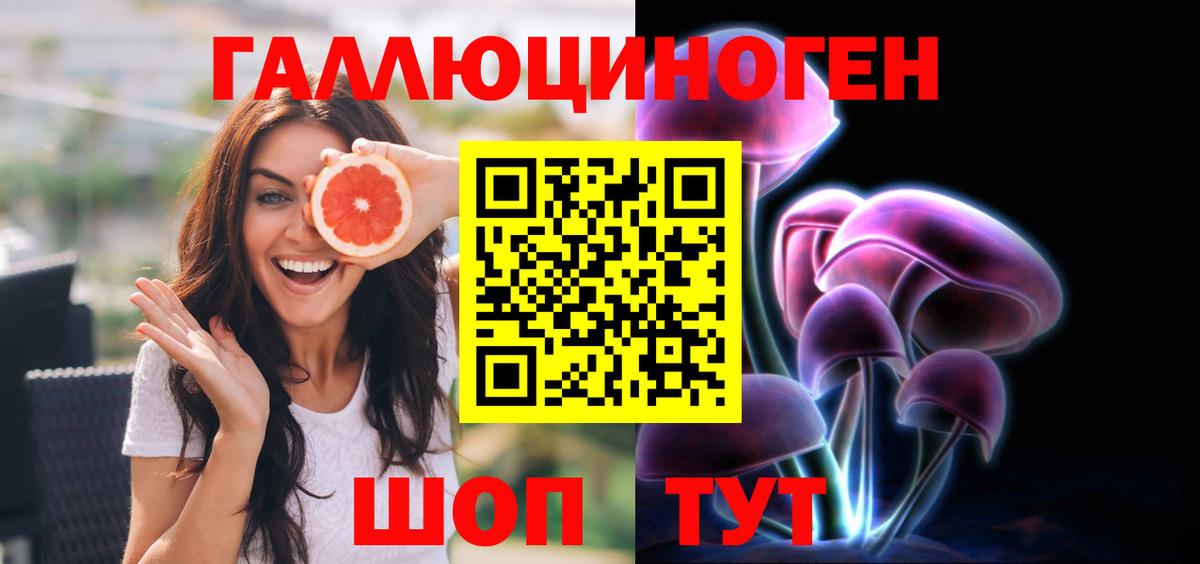Псилоцибиновые грибы GOLDEN TEACHER  Вход с VPN  Галлюциногенные грибы мицелий  Саратов 